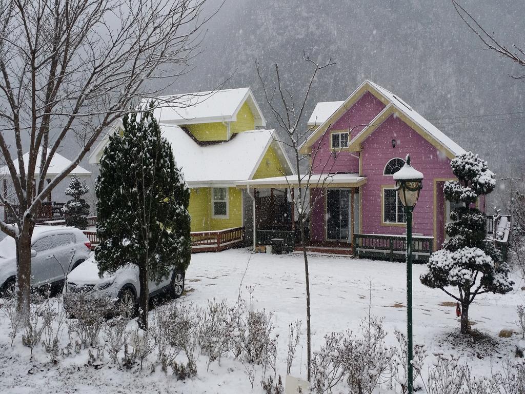อีโคเปีย เพนชั่น Villa พยองซาง ภายนอก รูปภาพ