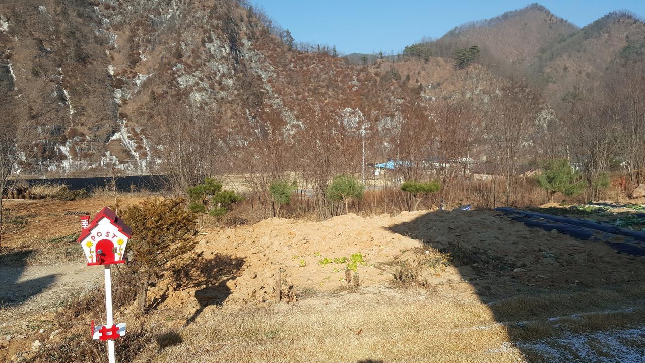 อีโคเปีย เพนชั่น Villa พยองซาง ภายนอก รูปภาพ